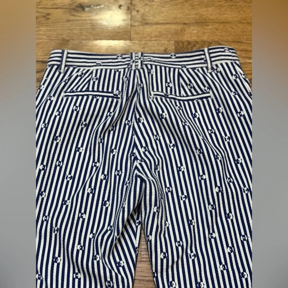 Anthropologie. Essential Slim Trouser. Blue & White Striped Floral. Size 8.